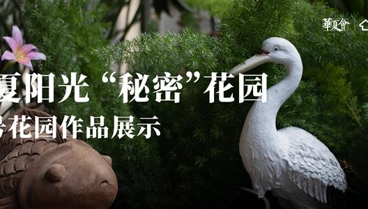 新利luck18丨三号参赛文章：与花鸟绿意相拥