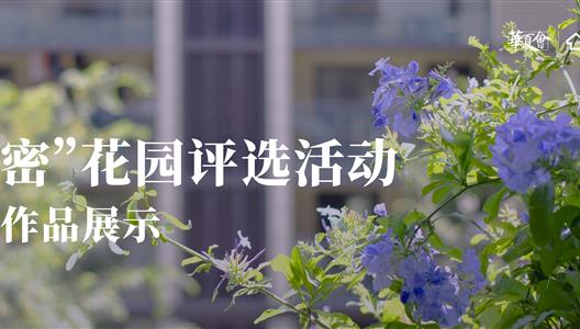 新利luck18 | 一号参赛文章：四时的浪漫花圃